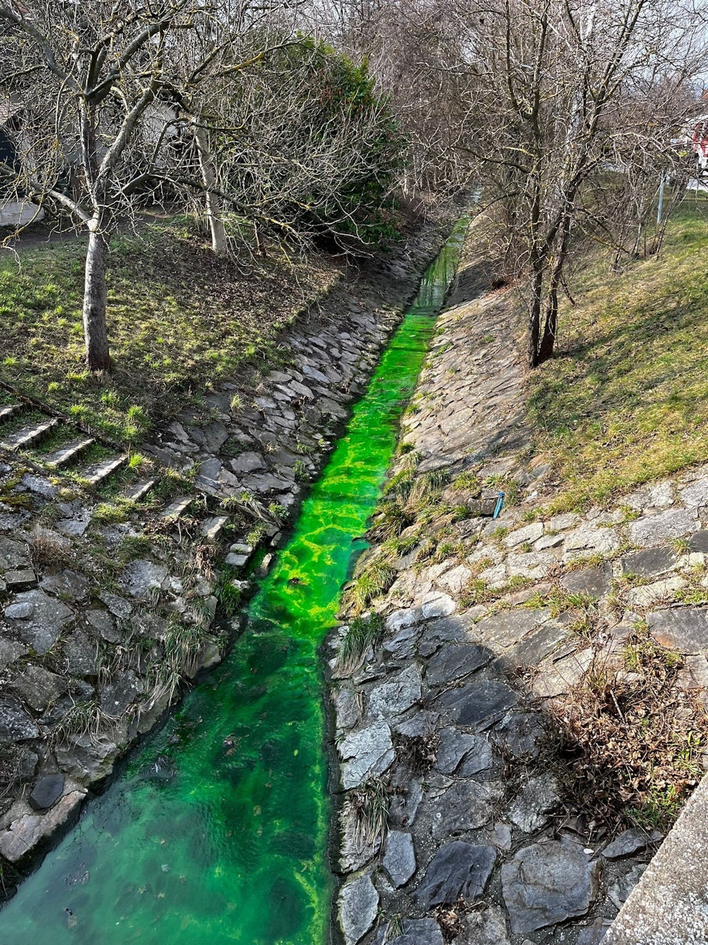 Der Bach in Perchtoldsdorf leuchtete giftgrün.
