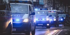 Bande in Wien zerschlagen – Täter sind noch Kinder