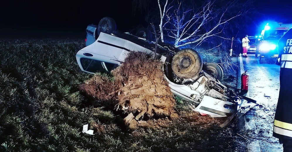 Der Lenker kam von der Fahrbahn ab. 