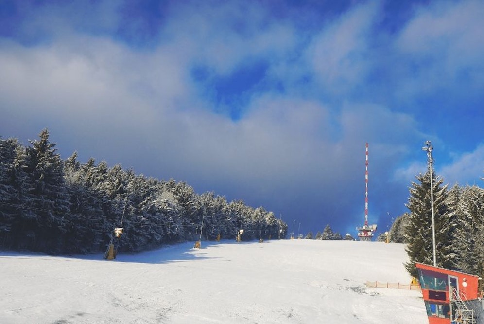 Jauerling in Niederösterreich