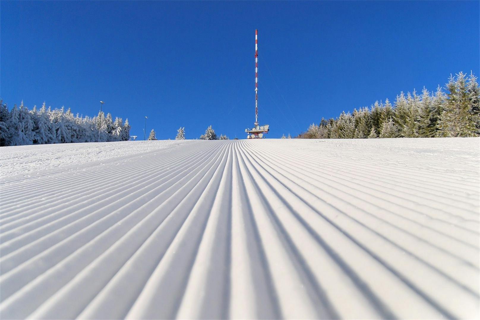 Nochmals tolle Schneebedingungen am Jauerling