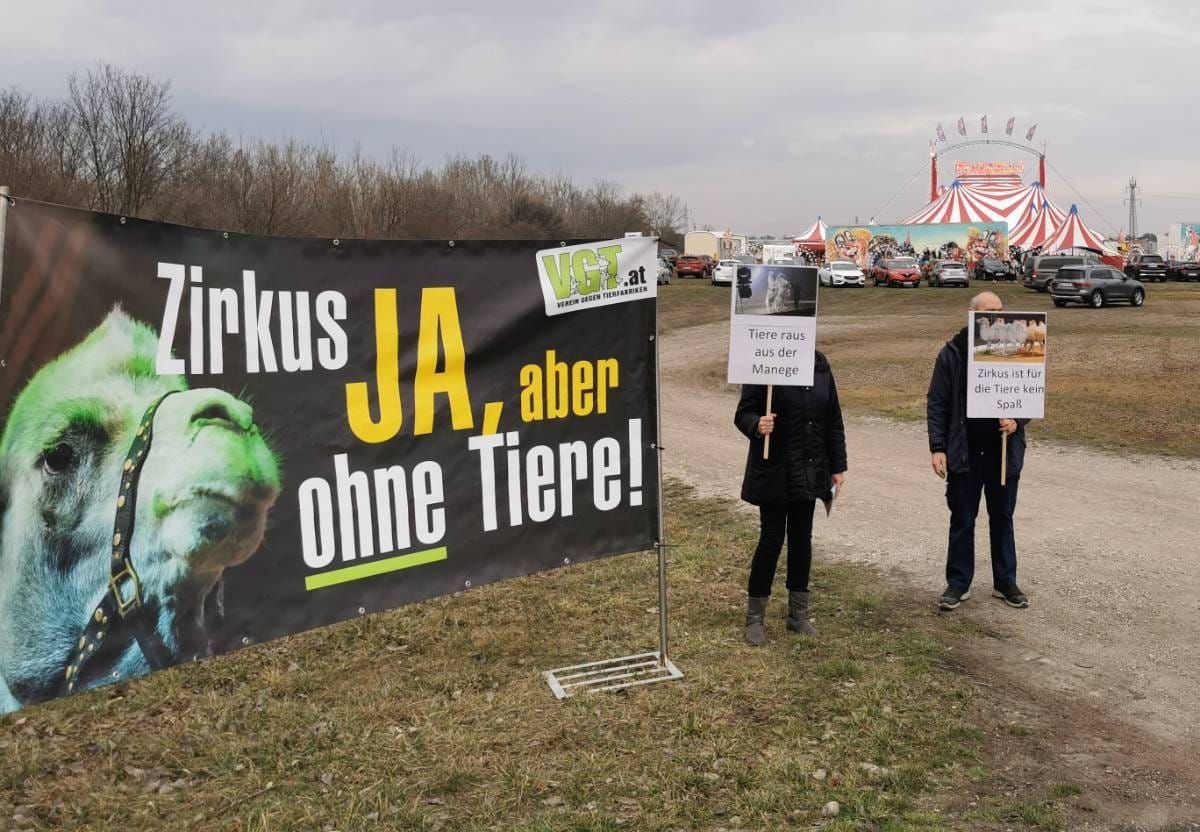 Der VGT protestiert gegen Tiere im Zirkus.