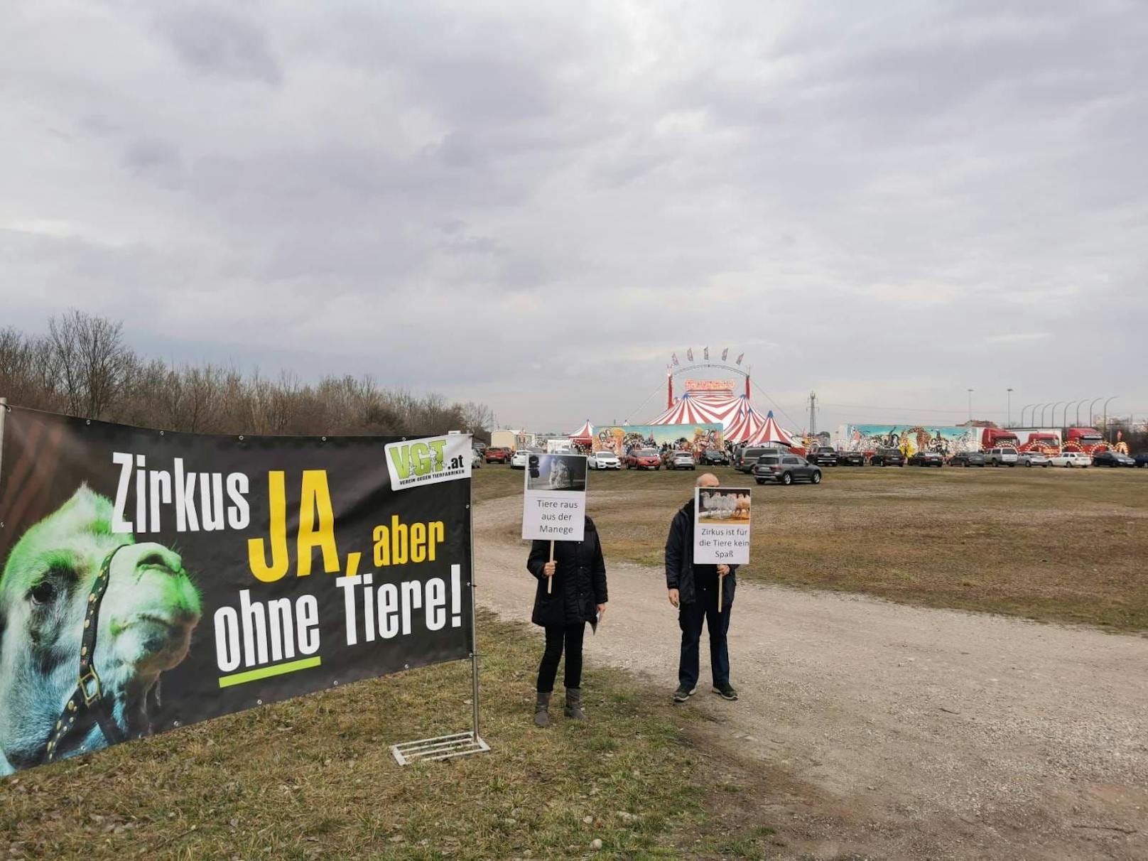 "Keine Tiere im Zirkus"! Proteste in Wr. Neustadt