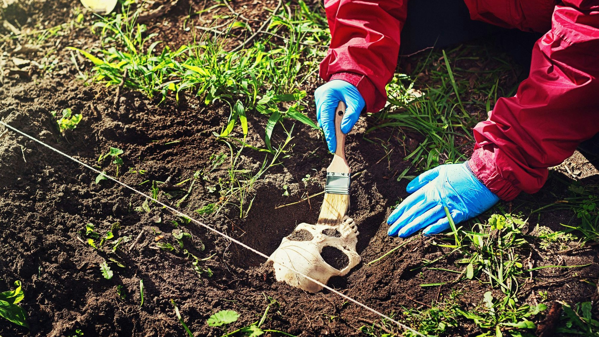 Die Ermittlungen der Polizei laufen auf Hochtouren.