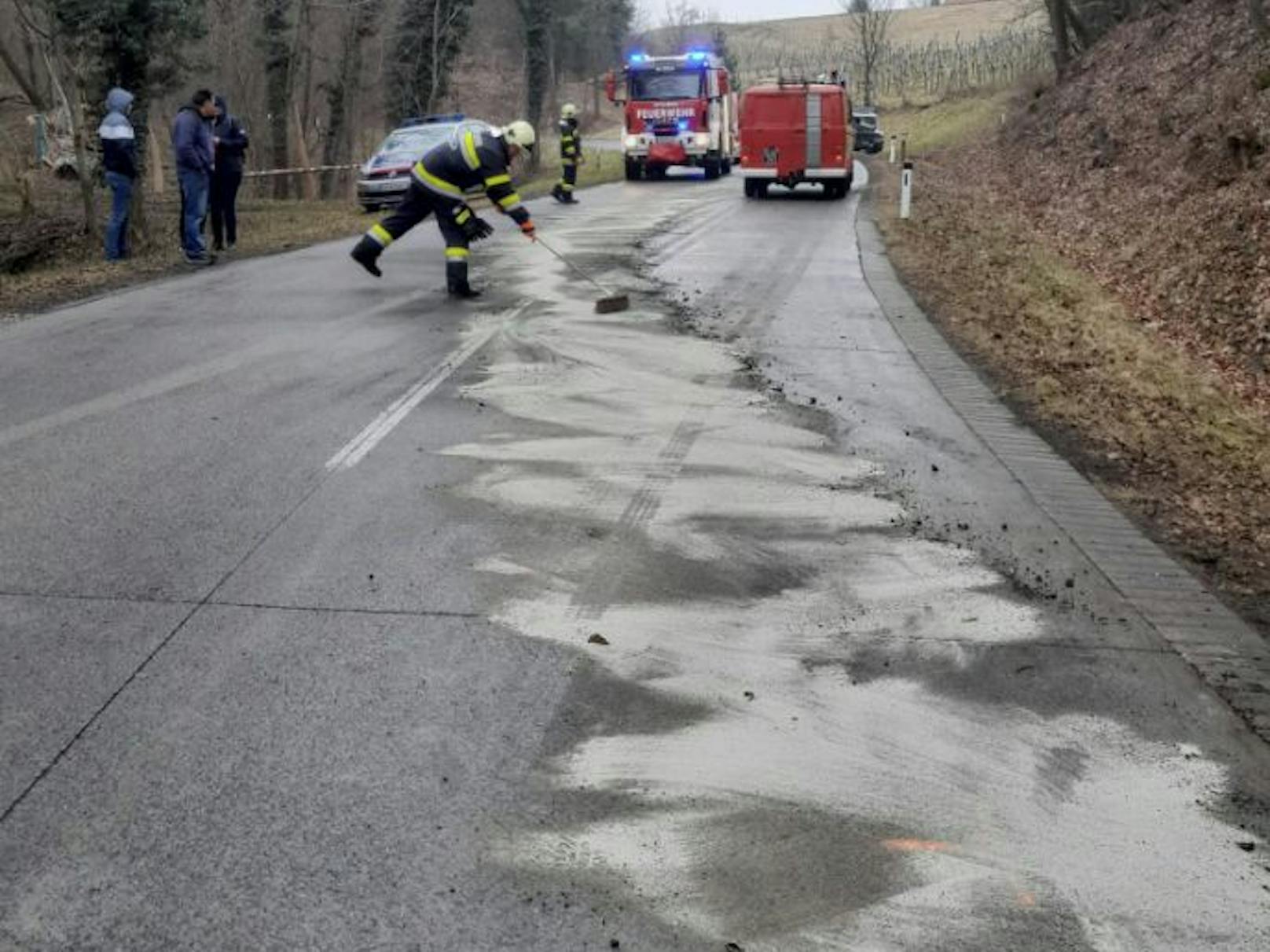 Ein Pkw war auf der Klöcherstraße zwischen Deutsch Haseldorf und Klöch ins Schleudern geraten und kollidierte frontal mit einem entgegenkommenden LKW.