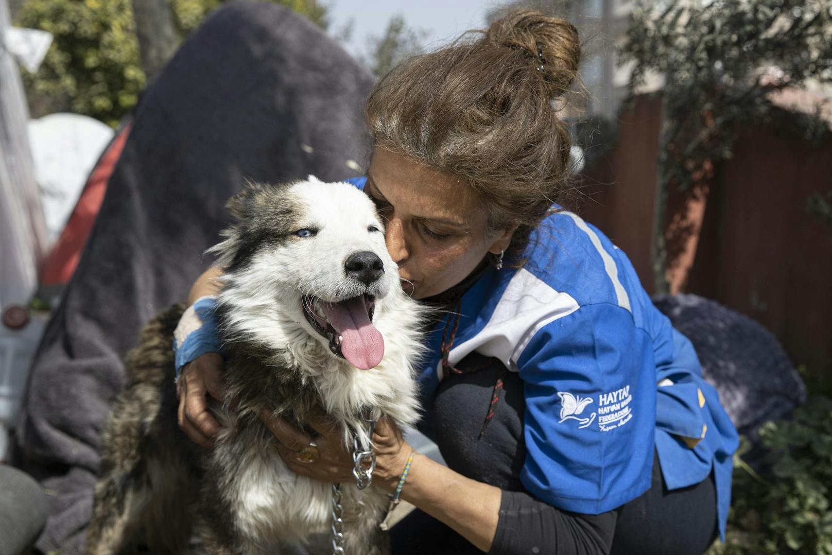 Ein Hund namens "Aleks" wurde nach 22 Tagen aus den Trümmern gerettet.