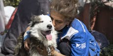 Helfer retten Hund 22 Tage nach Erdbebenkatastrophe