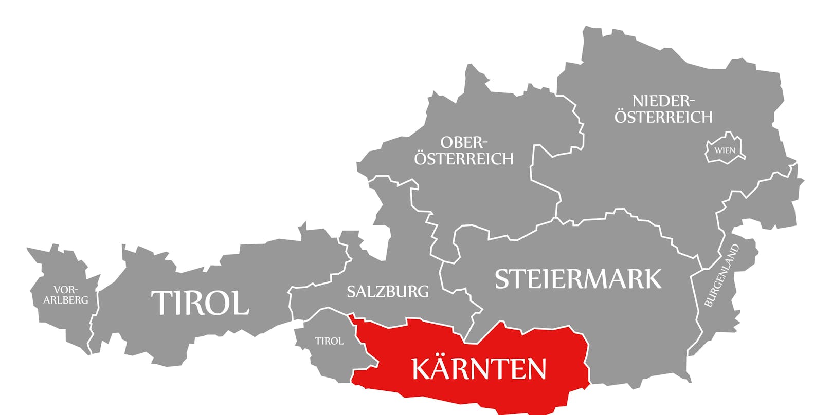 Der neue Landtag in Kärnten wird am 5. März gewählt.