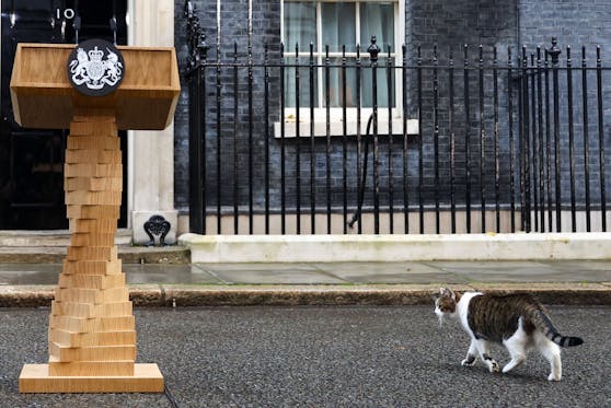 "Larry the cat",  jene Katze, die als "oberster Mäusefänger des Vereinigten Königreichs" bekannt ist, hatte offenbar Glück. 