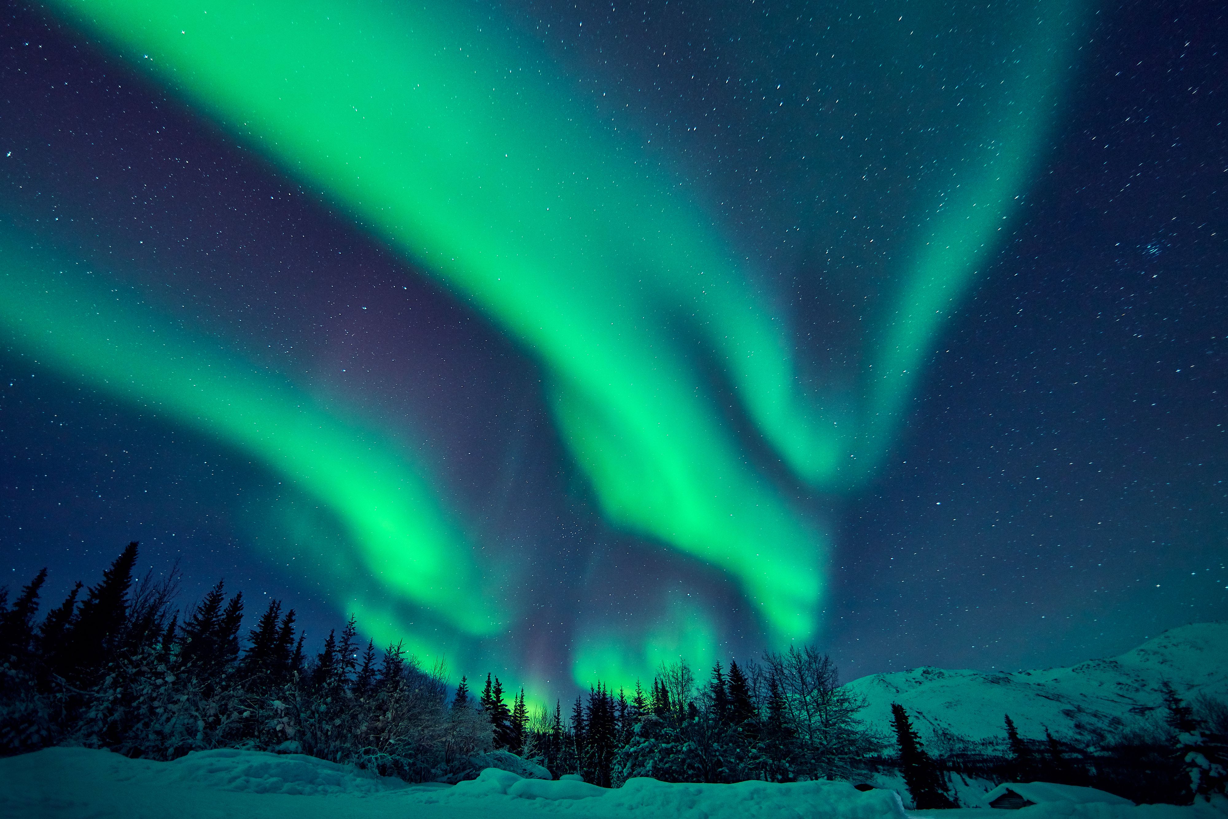 Beautiful green aurora borealis at midnight sky, Alaska, USA.