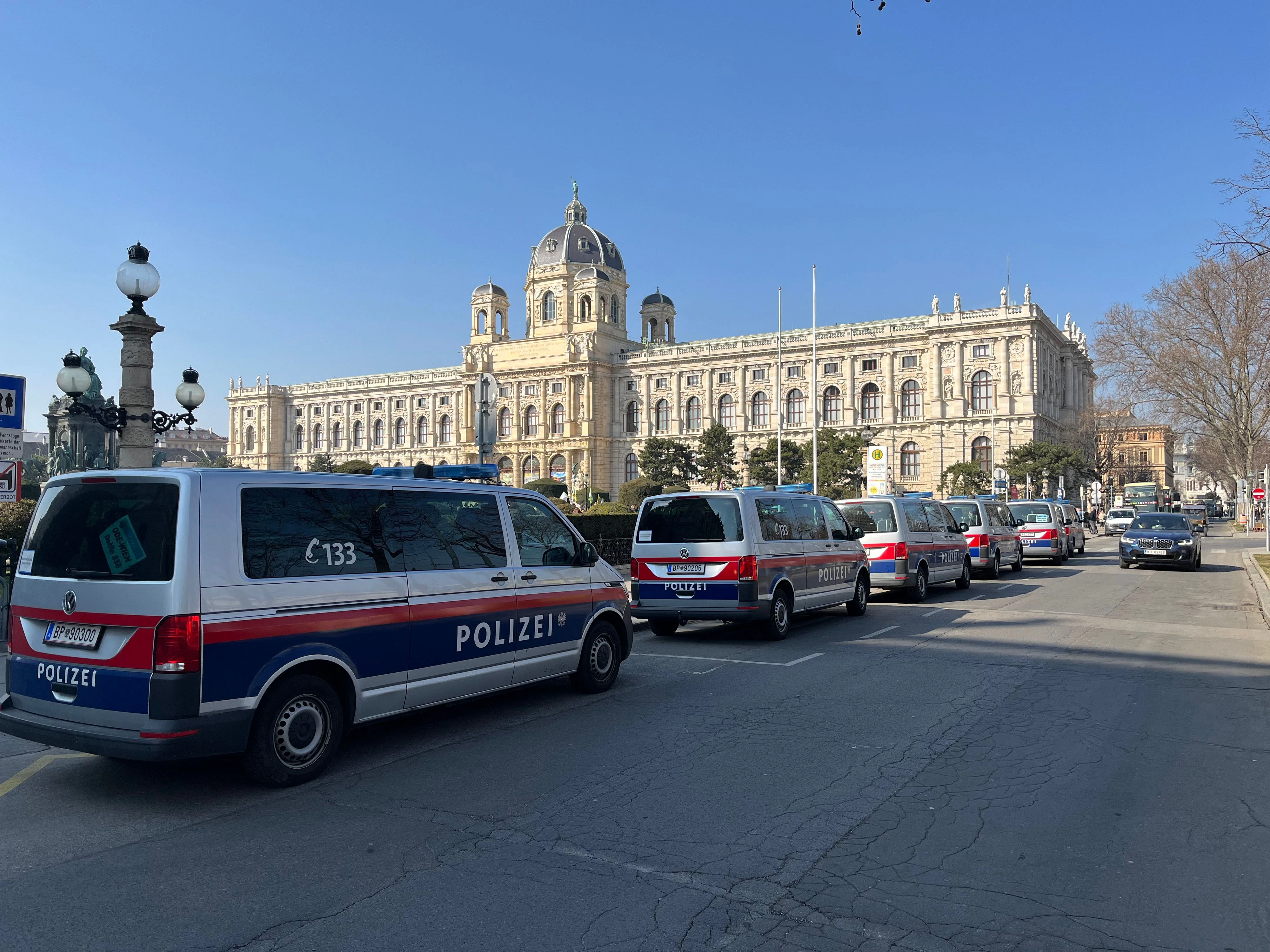 "Fridays for Future"-Demo in Wien
