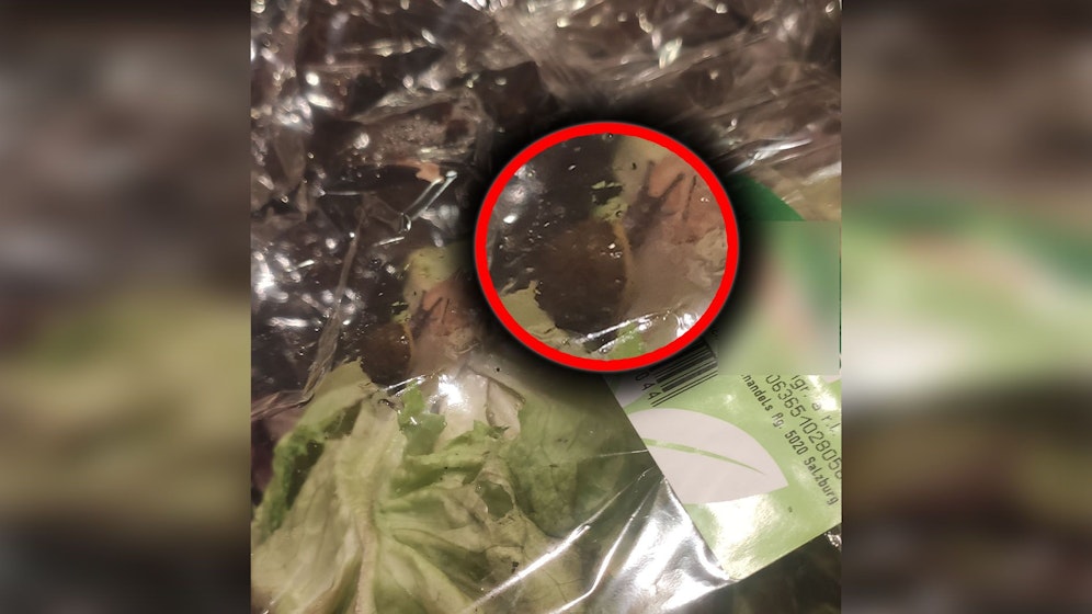 Ein Wiener fand ein seinem Salat eine Schnecke, doch er nahm es mit Humor.
