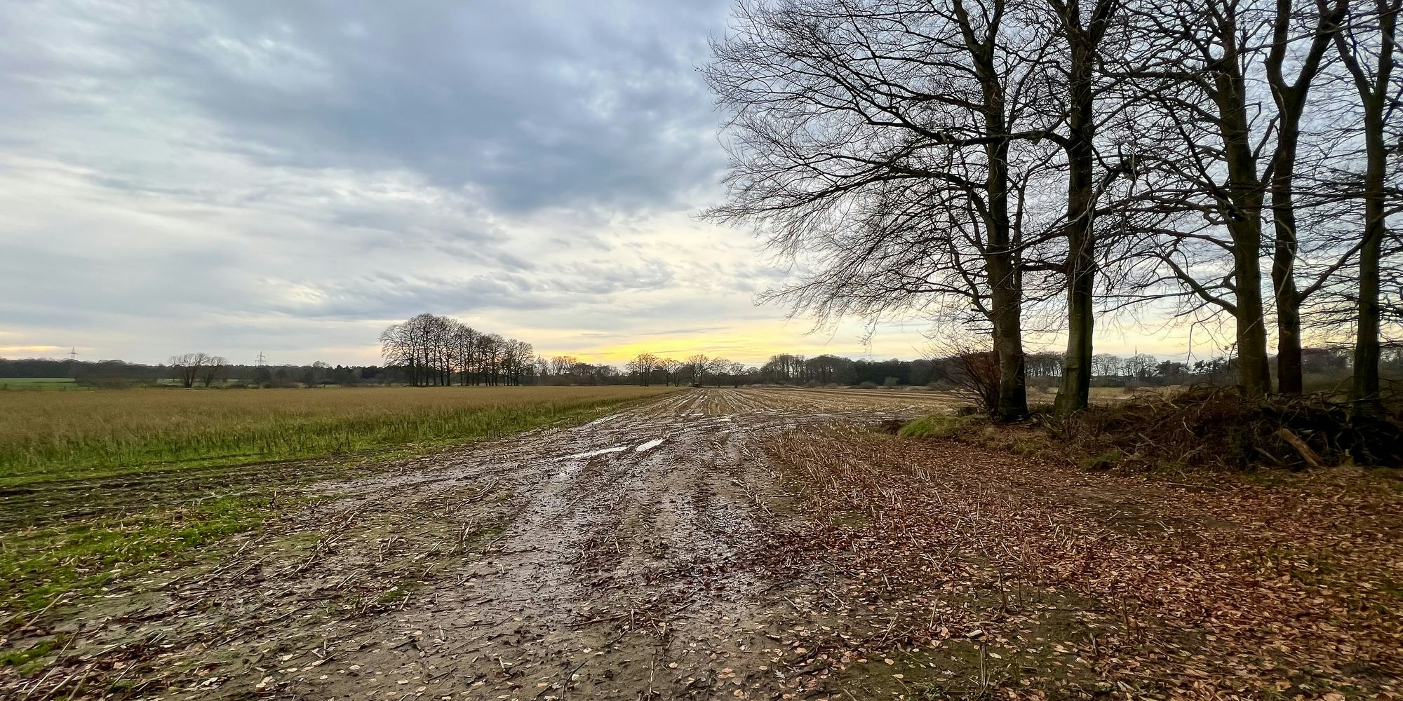 Die neue Märzwoche startet trüb, nass, kalt und verbreitet spätwinterlich. (Symbolbild)