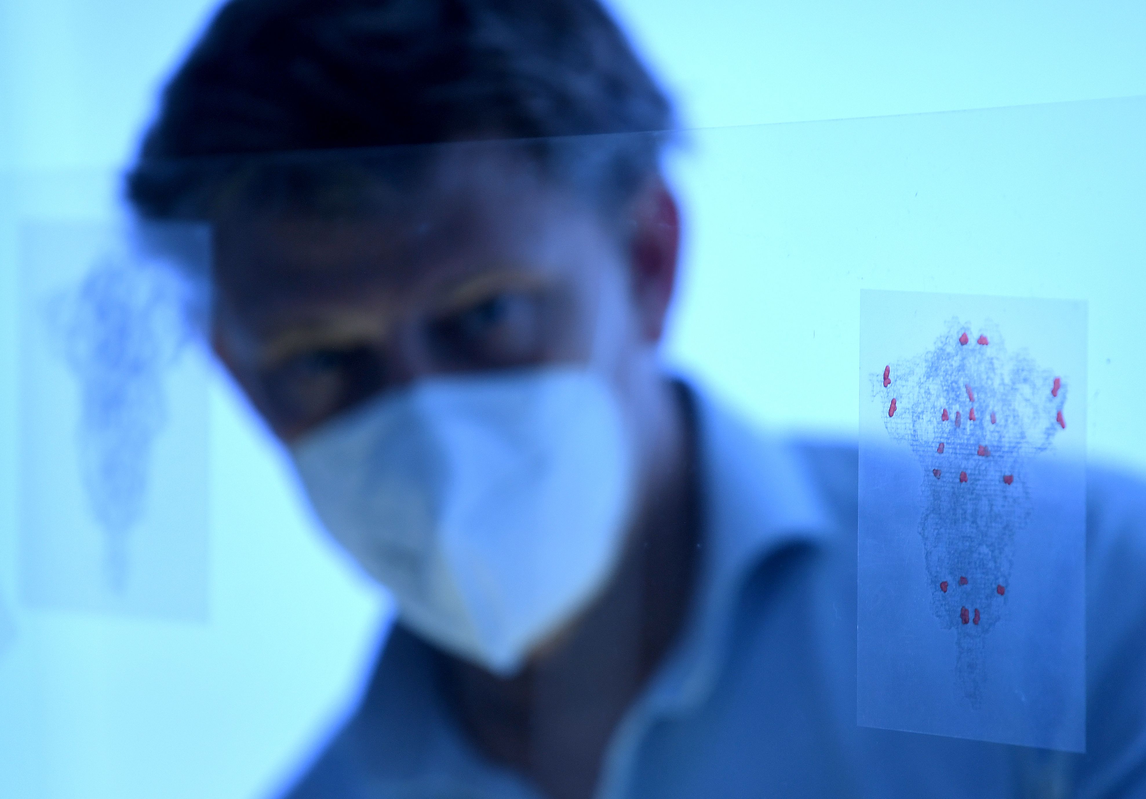 Download von www.picturedesk.com am 06.03.2023 (11:43).  ABD0024_20210303 - WIEN - ÖSTERREICH: ++ THEMENBILD ++ "Mutantenjäger" Ullrich Elling beim Betrachten der Strukturen von Corona-Spike-Proteinen mit Mutationen in einem Labor der "IMBA" am BioCenter in Wien fotografiert am 26. Februar 2021. - FOTO: APA/ROLAND SCHLAGER - 20210226_PD13900 - Rechteinfo: Rights Managed (RM)