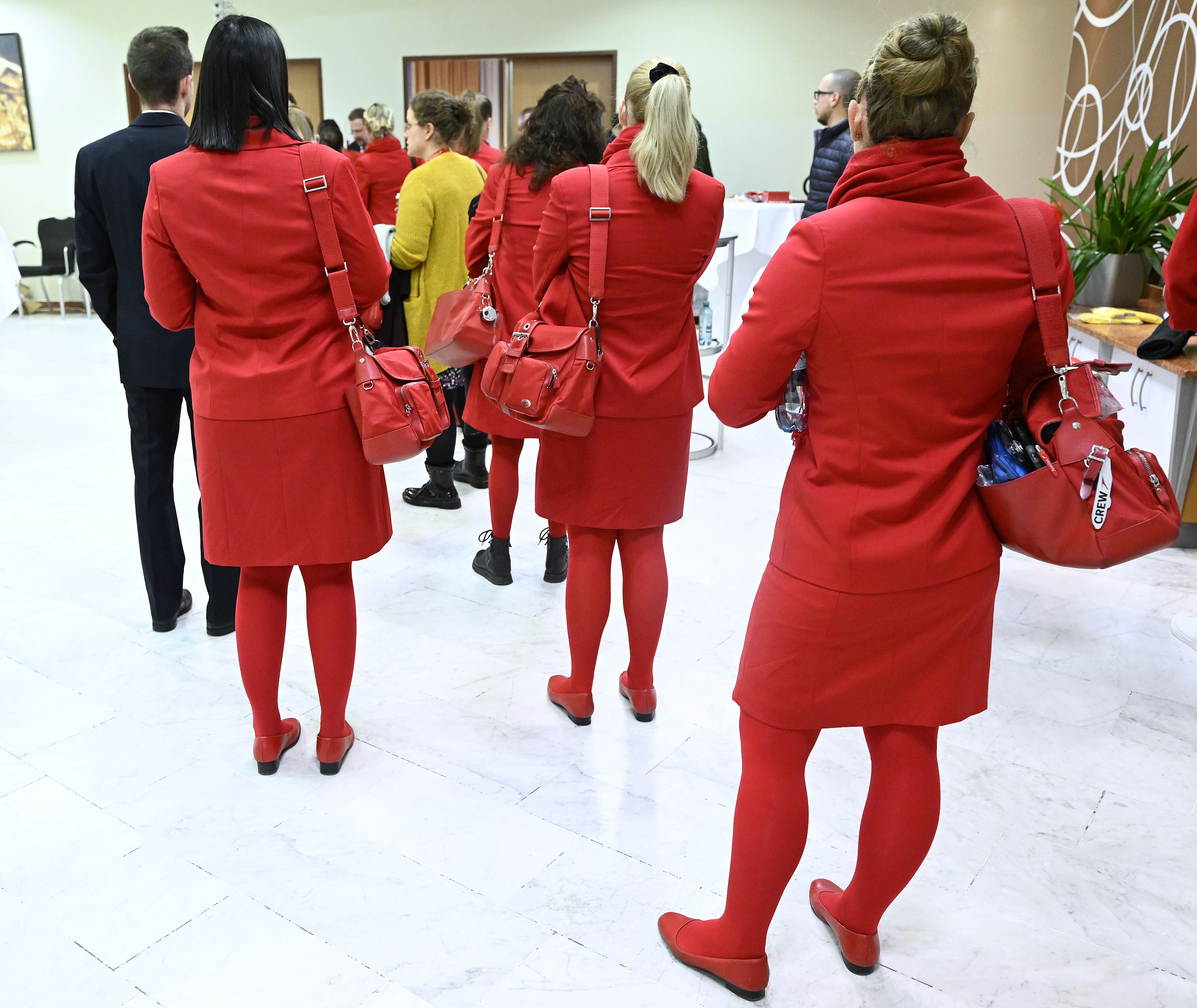 Am Dienstag (07.03.2023) fand am Wiener Flughafen eine Betriebsversammlung und ein Warnstreik der AUA-Mitarbeiter statt. 