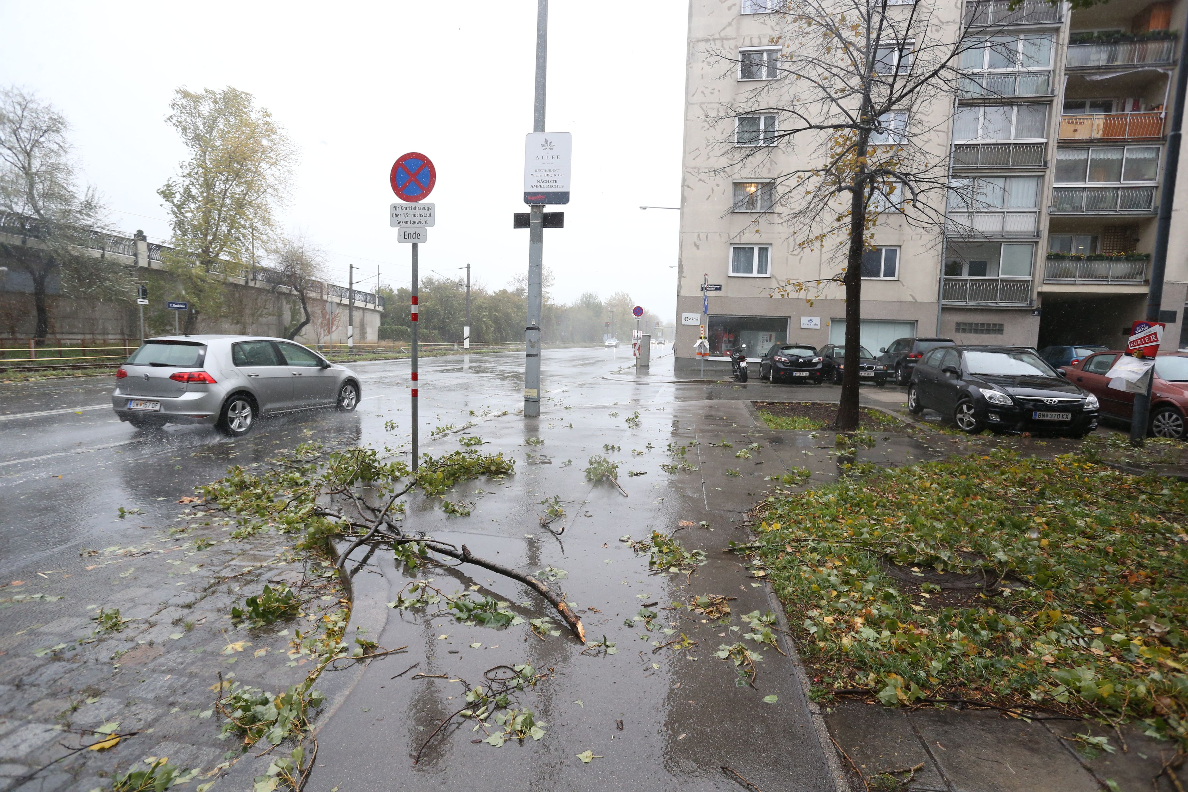 In den kommenden Tagen könnte es in der Bundeshauptstadt ziemlich stürmisch werden.