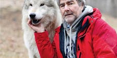 Experte: "Hunde sind für Kinder gefährlicher als Wölfe"