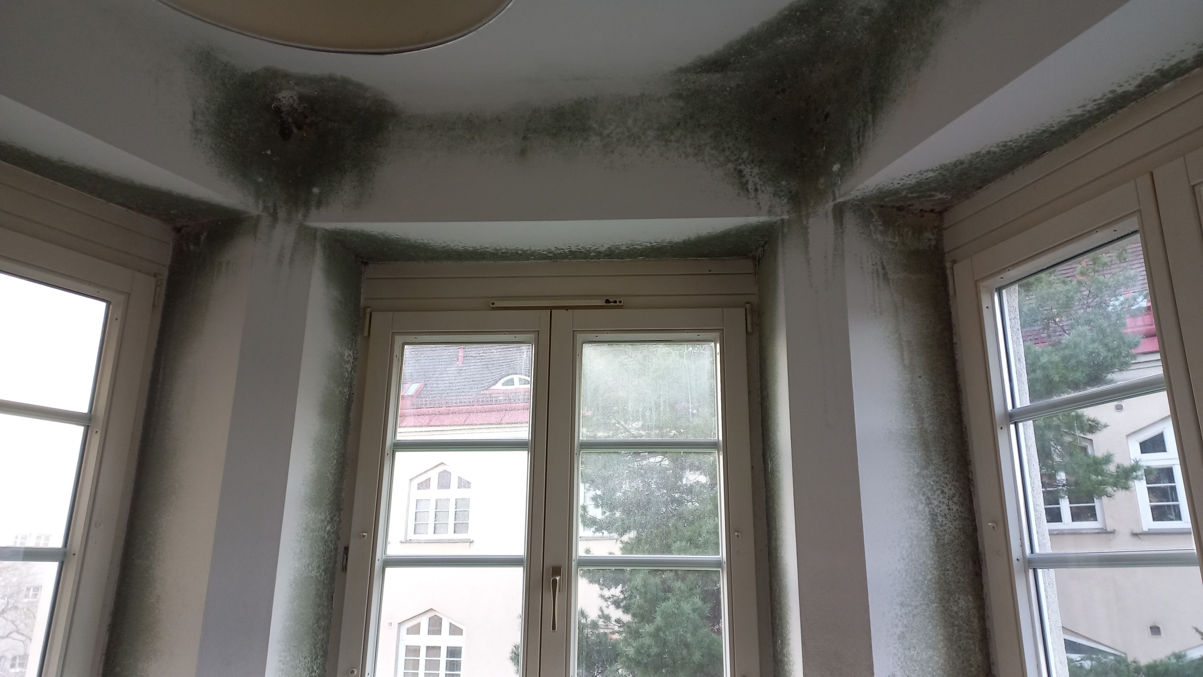 Viele Kleidungsstücke müsse der Wiener nun entsorgen.