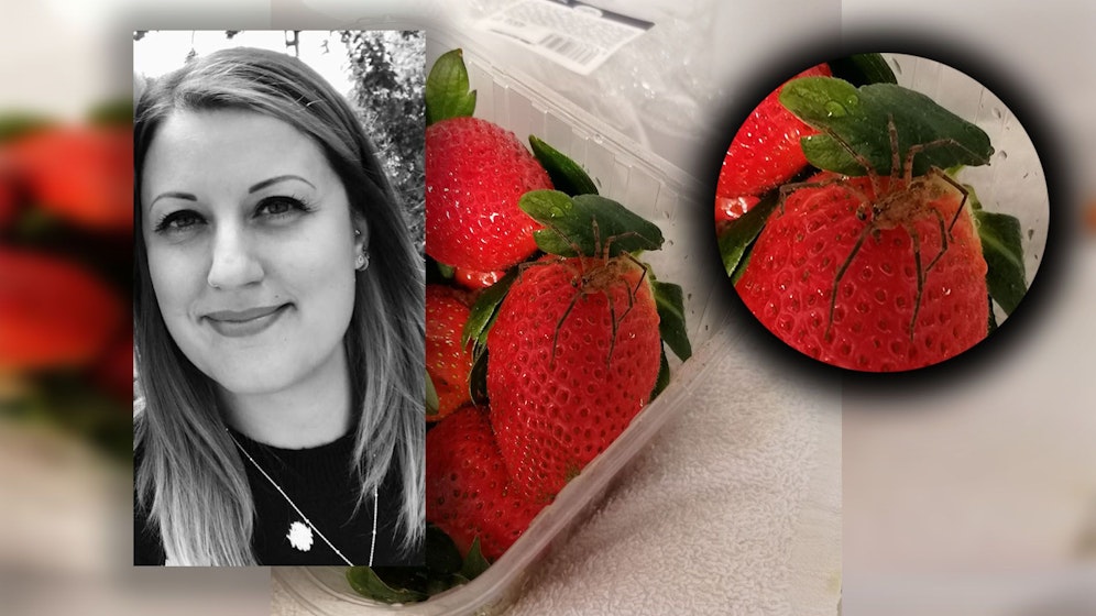 Petra fand die Spinne in den Erdbeeren