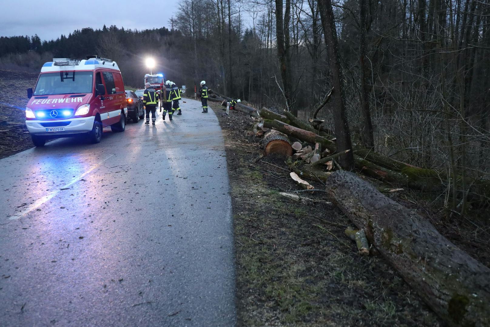 Mit bis zu 100 km/h wütet am Donnerstag ein heftiger Sturm in weiten Teilen Österreichs – die Feuerwehr steht im Dauereinsatz.