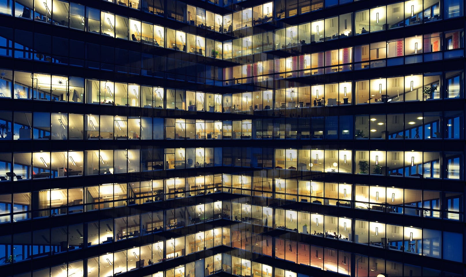 Mehr als Licht: Wie Tridonic den Schritt zum smarten Gebäudemanagement setzt.