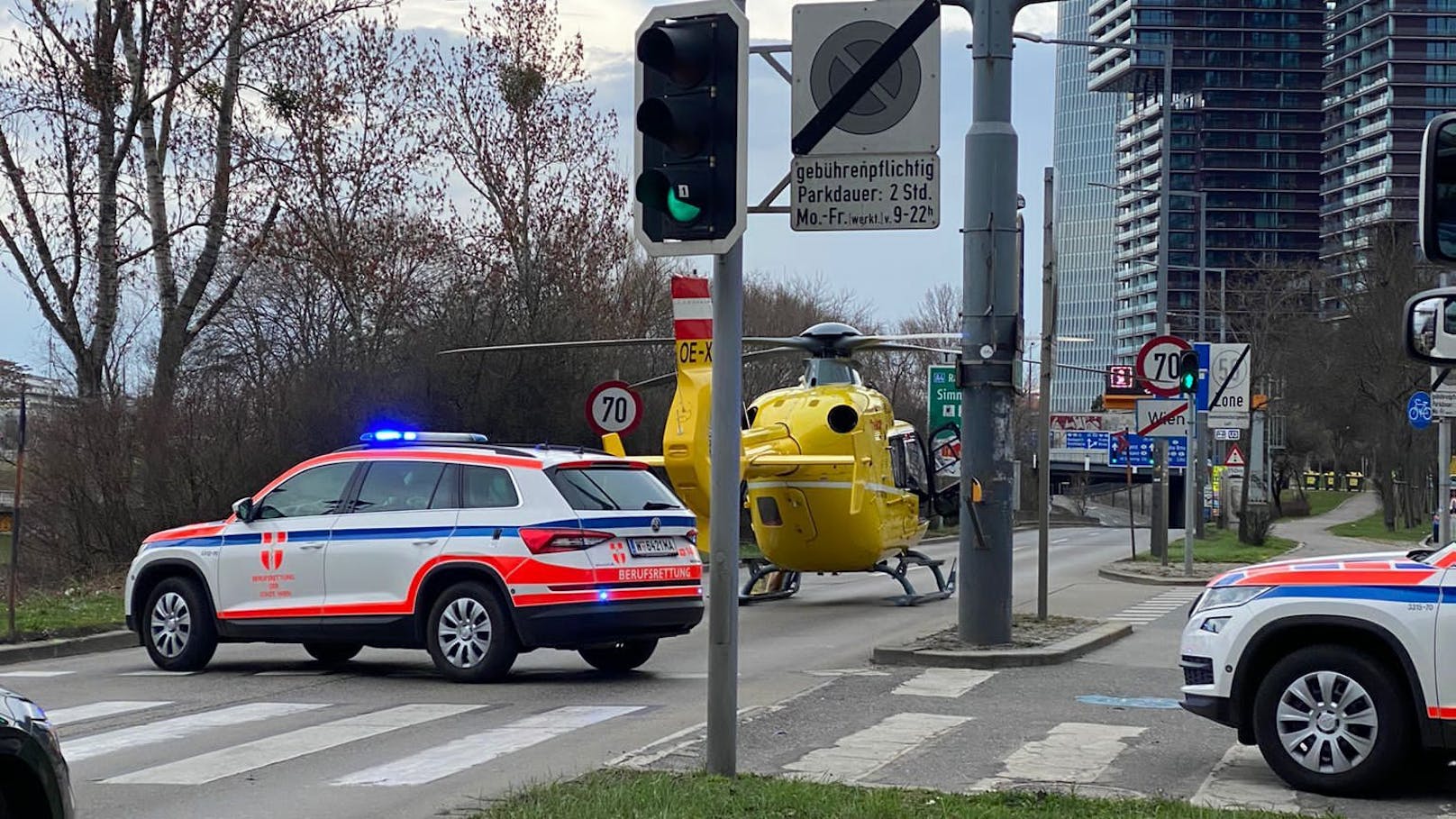 Lehrling (16) fällt Baum – dann ist sein Kollege tot