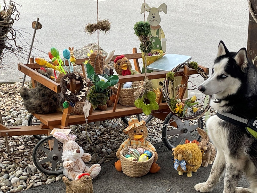 Der Ostermarkt soll Geld für die Tiere einbringen.