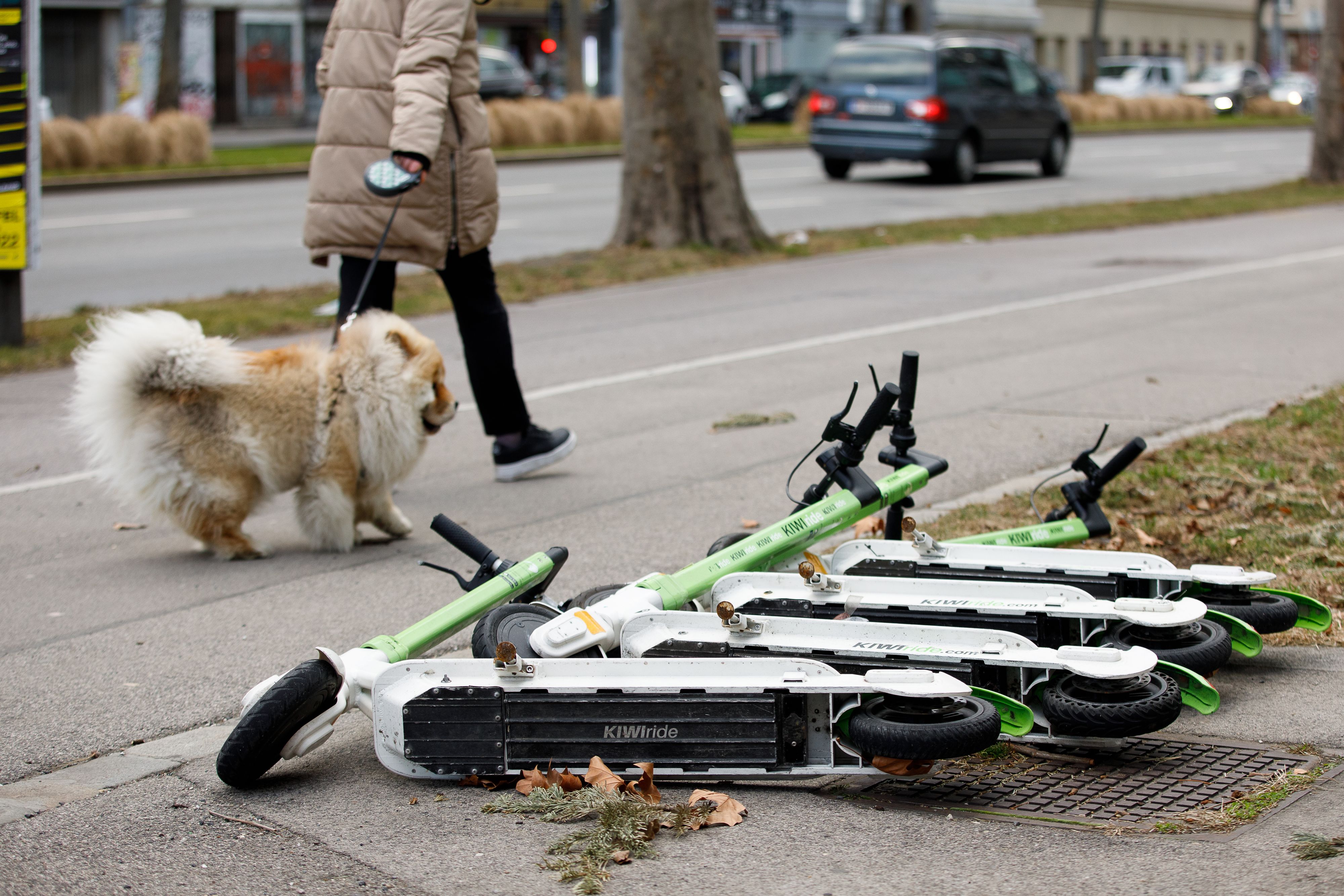 Ein kräftiger Sturm fegt über weite Teile Österreichs.