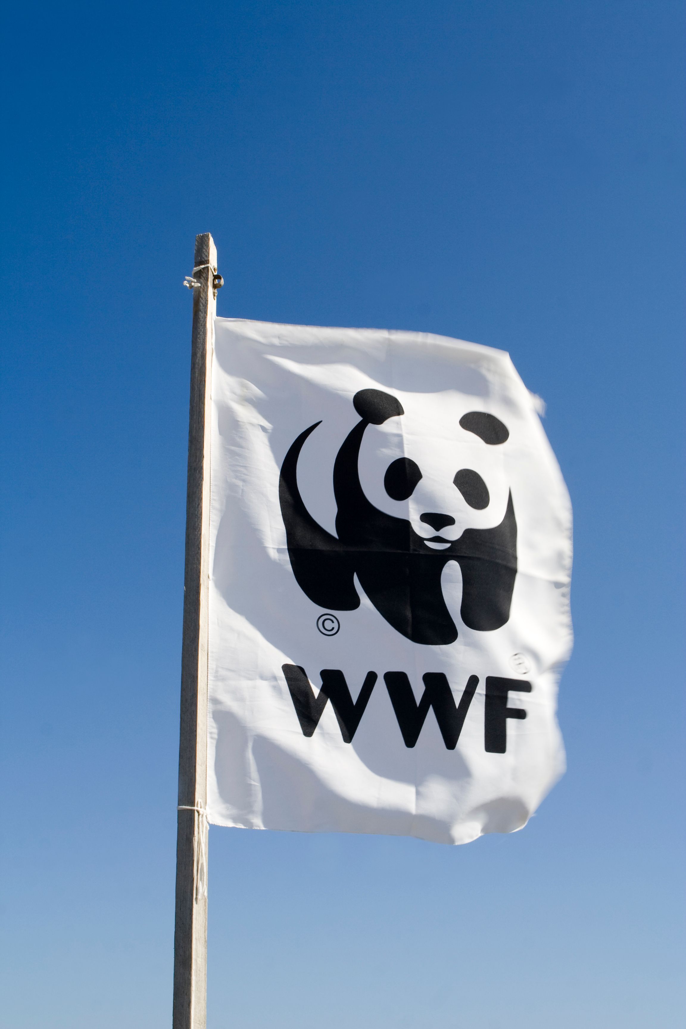 Weht die WWF-Flagge in Russland bald nicht mehr?