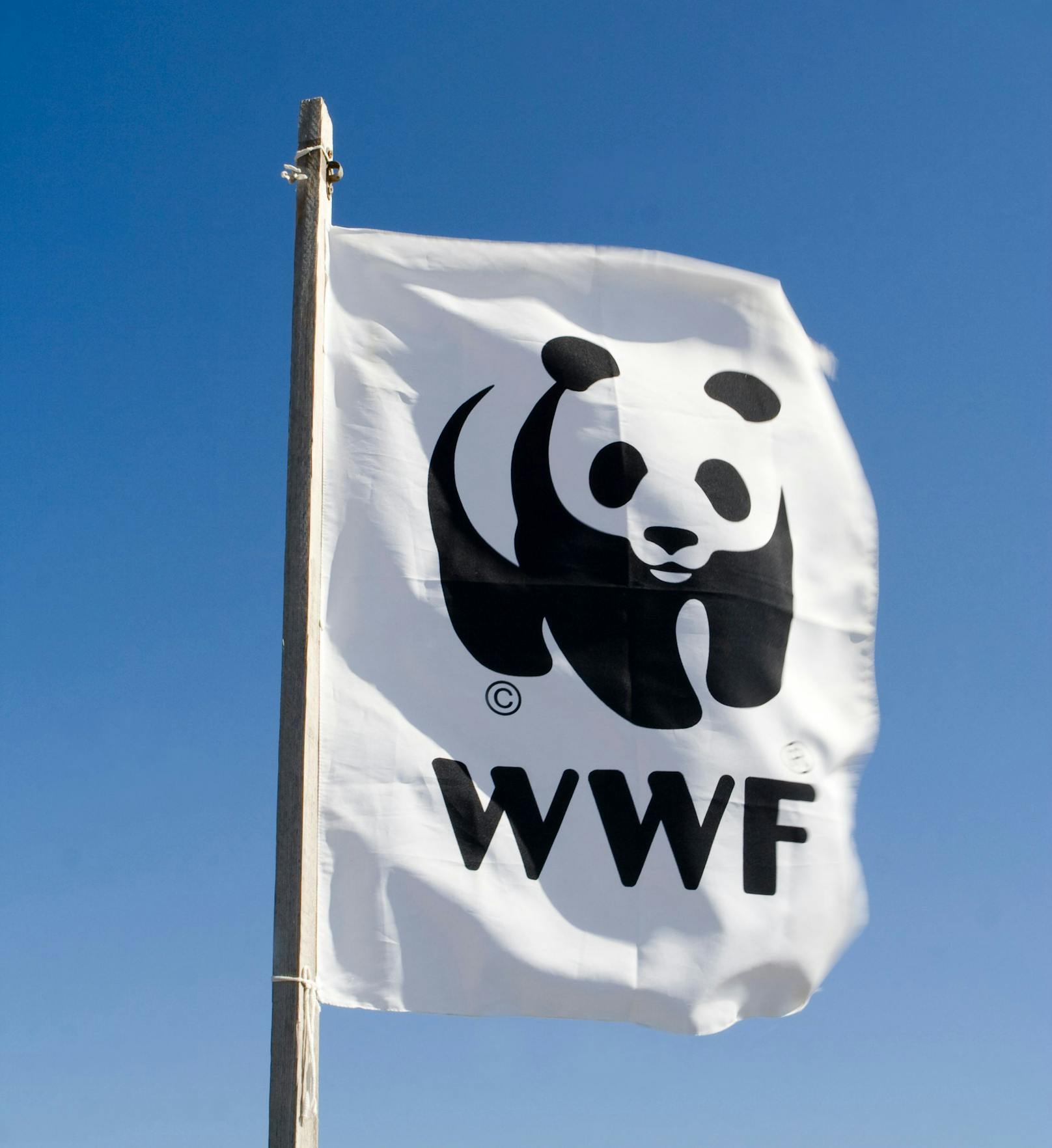 Weht die WWF-Flagge in Russland bald nicht mehr?