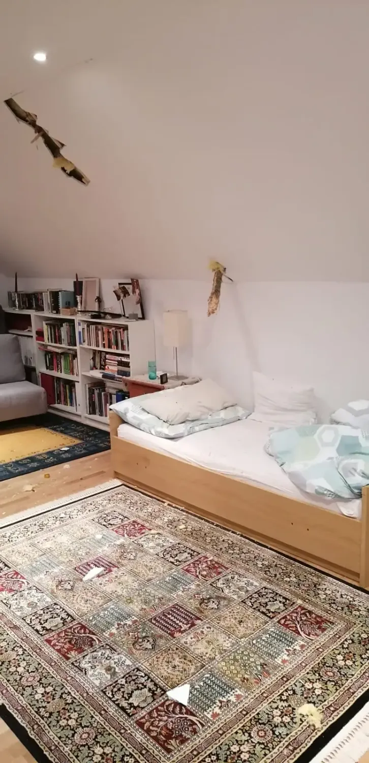 Der Ast drang durch die Decke ins Schlafzimmer und verfehlte knapp den Kopf einer Frau.