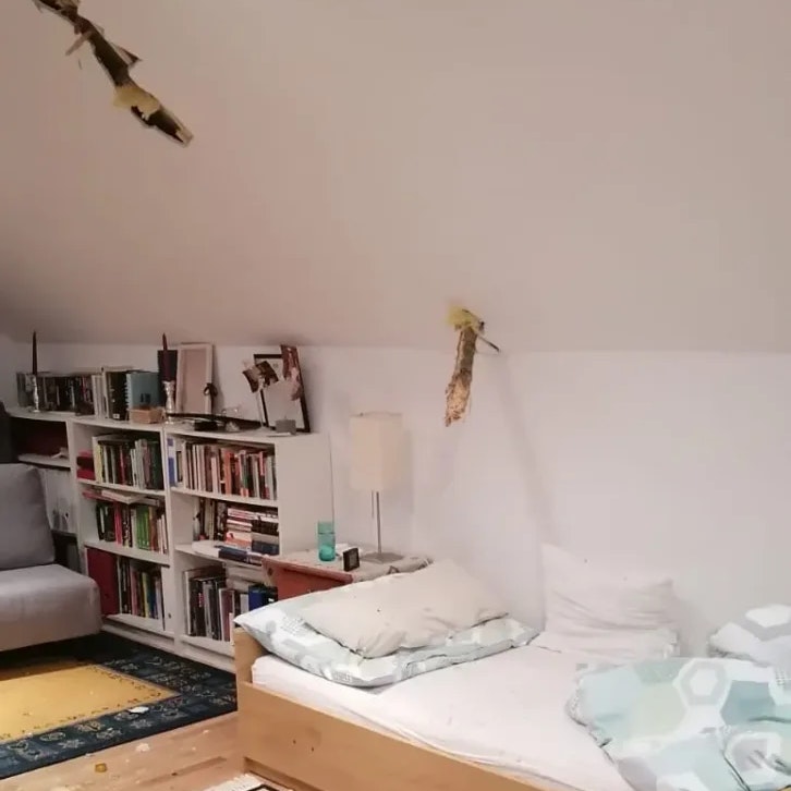 Der Ast drang durch die Decke ins Schlafzimmer und verfehlte knapp den Kopf einer Frau.