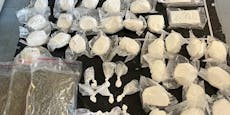 Polizei findet 50 Kilo Drogen in Wiener Wohnung