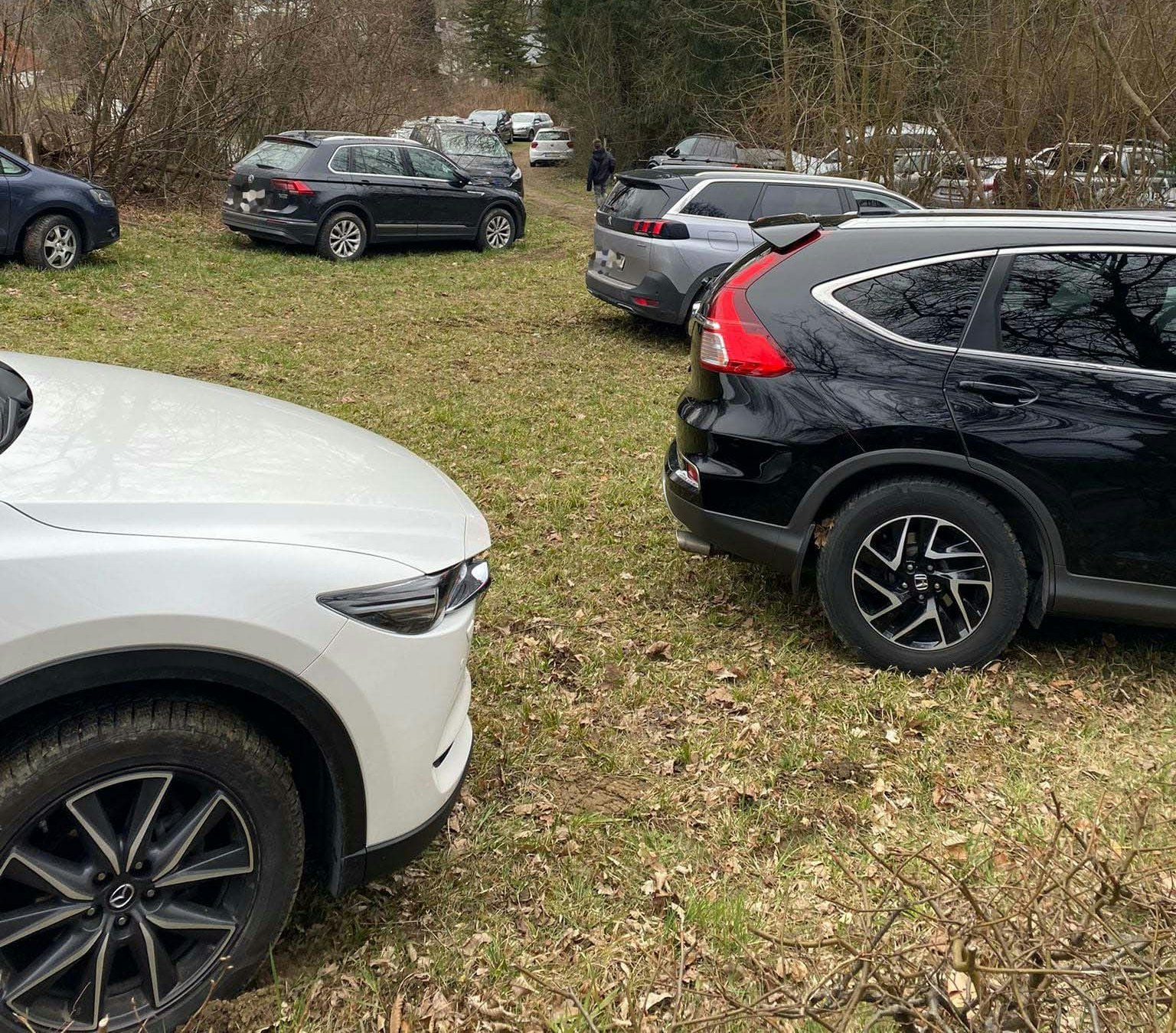 Froschberg Autos Anrainer