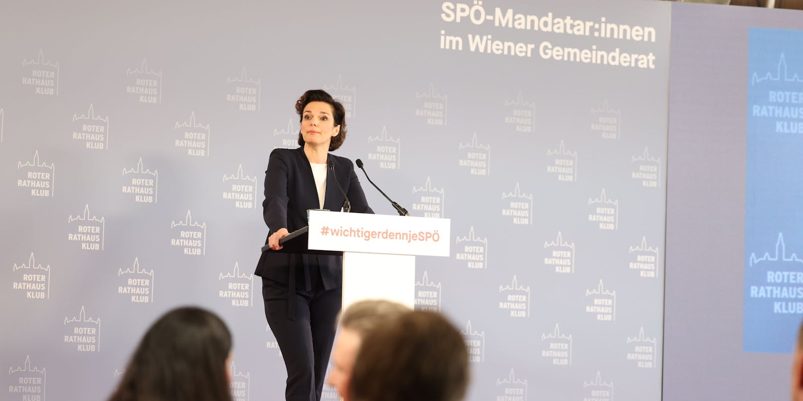 Über 70 SPÖ-Mitglieder glauben, es besser als Rendi-Wagner machen zu können.