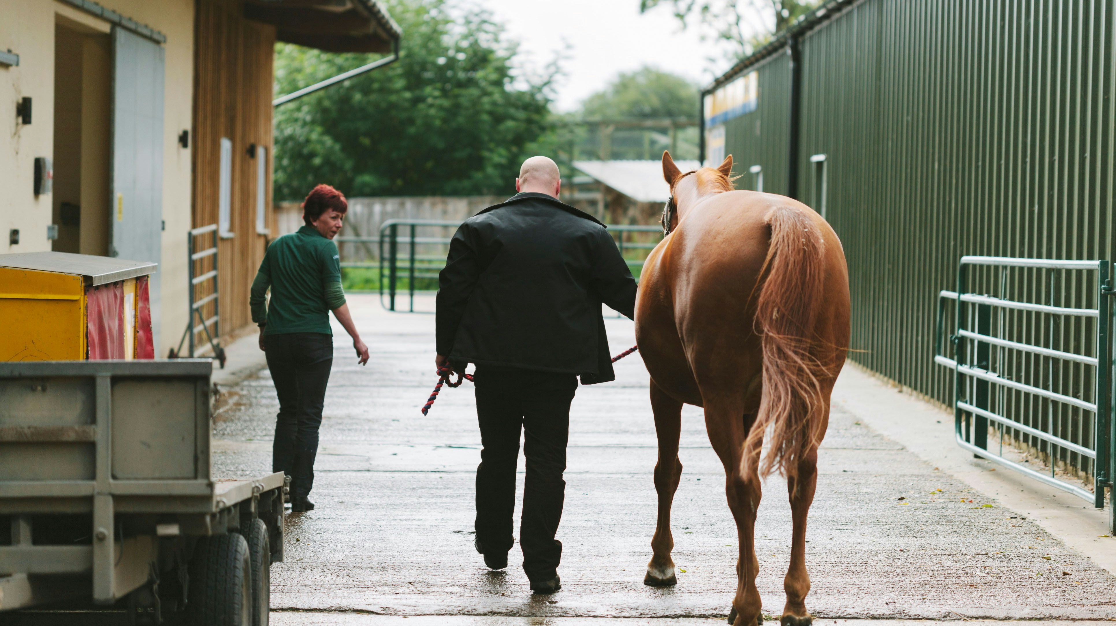 Ein Ausflug mit dem Pferd brachte eine Steirerin in Teufels Küche.