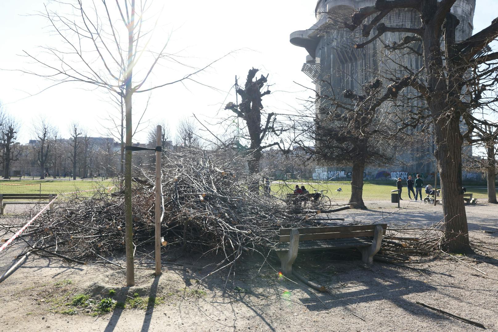 Seit dem U-Bahn-Bau ist der Grundwasserspiegel im Augarten drastisch gesunken.