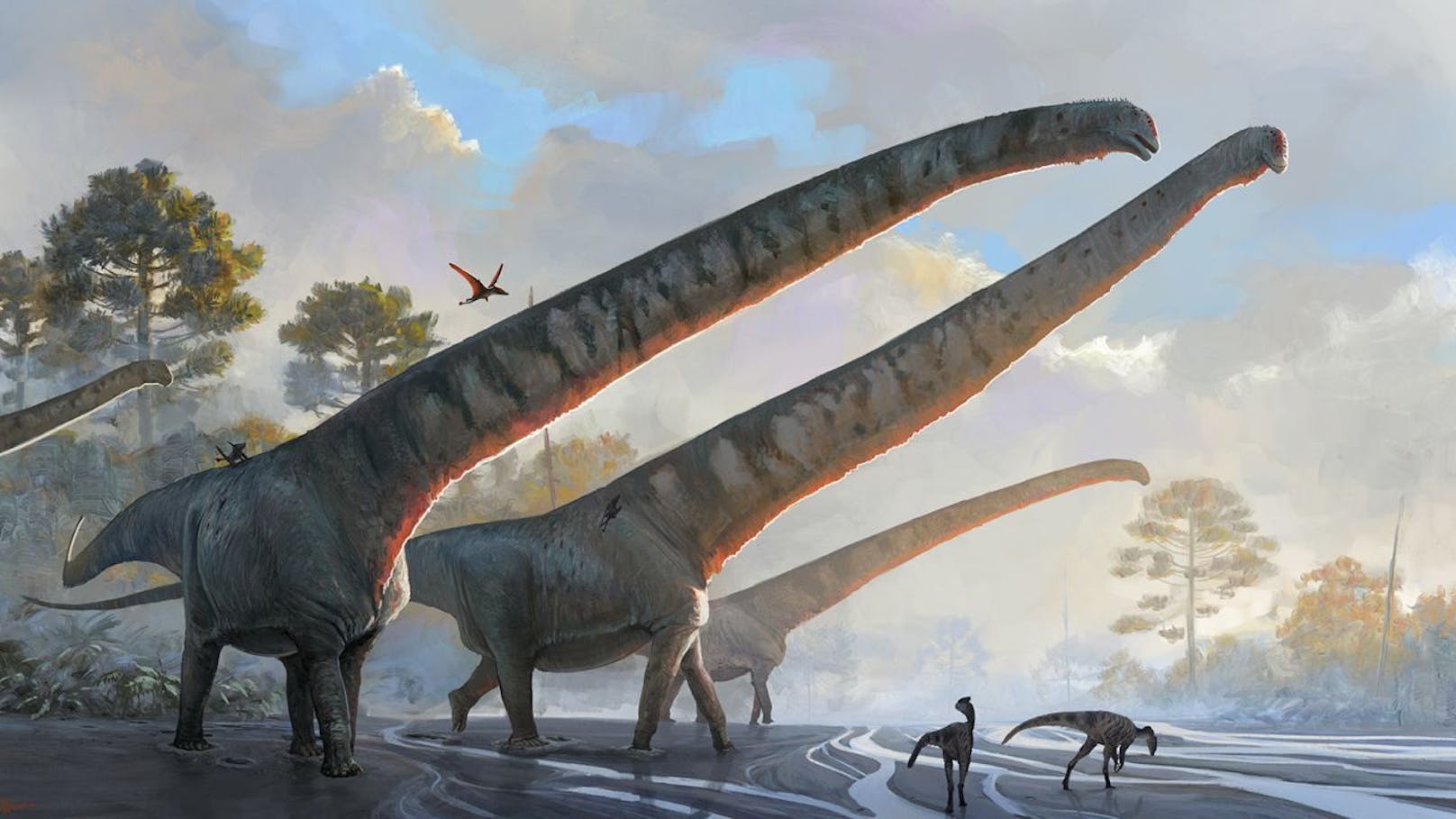 Eine Illustration des Natural History Museum in London zeigt den Hals von "Mamenchisaurus sinocanadorum" in voller Länge.