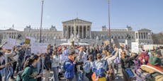 Demonstration in Wien – enormes Stau-Chaos droht