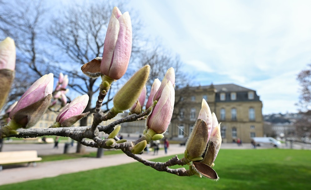 Das Wochenende bringt in Österreich frühlingshafte Temperaturen.