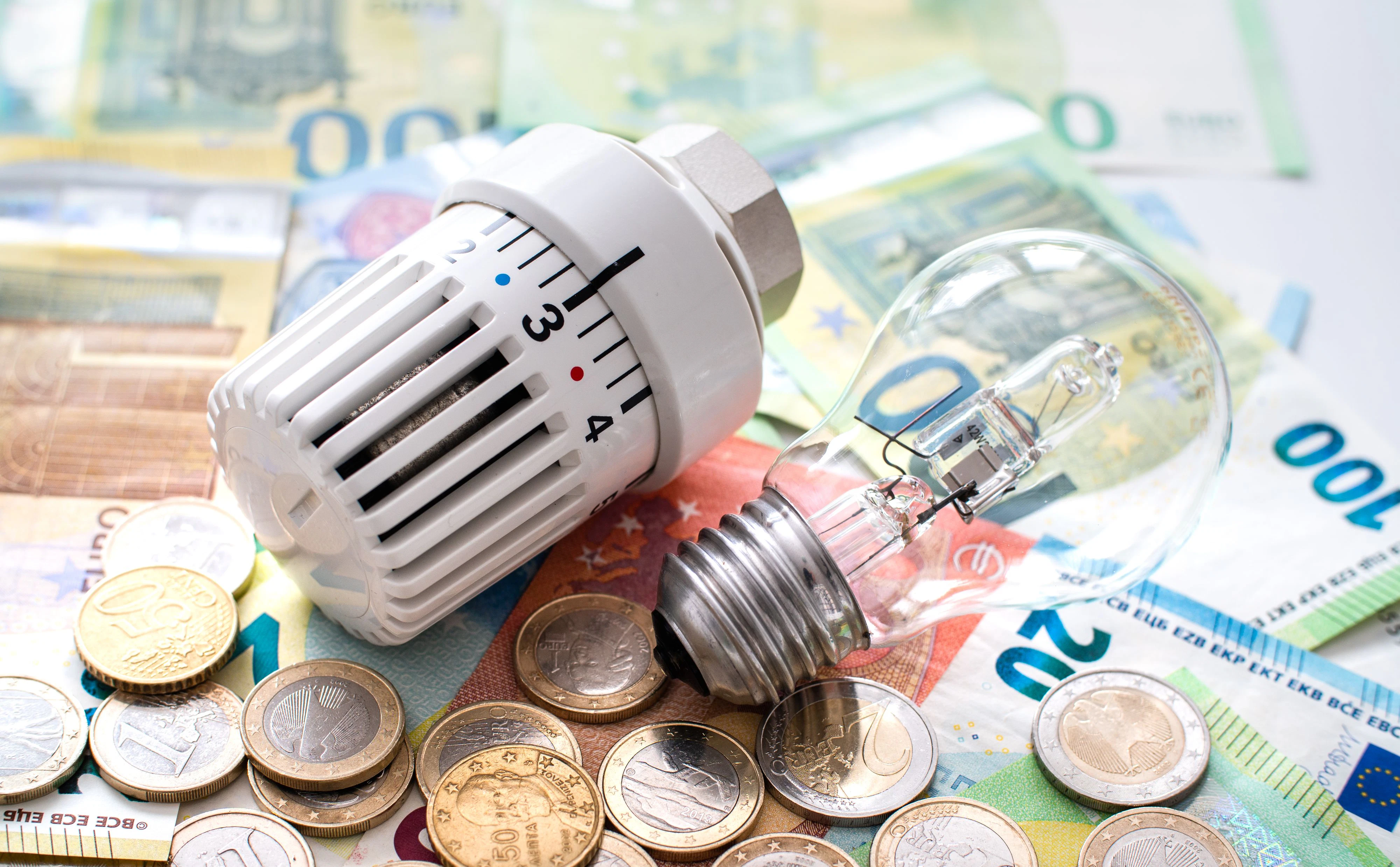 Nach den schwierigen letzten Monaten könnte es nun endlich zu einer Entspannung für alle Österreicher kommen. 