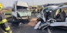 Mehrere Schwerverletzte bei Kleinbus-Crash in NÖ