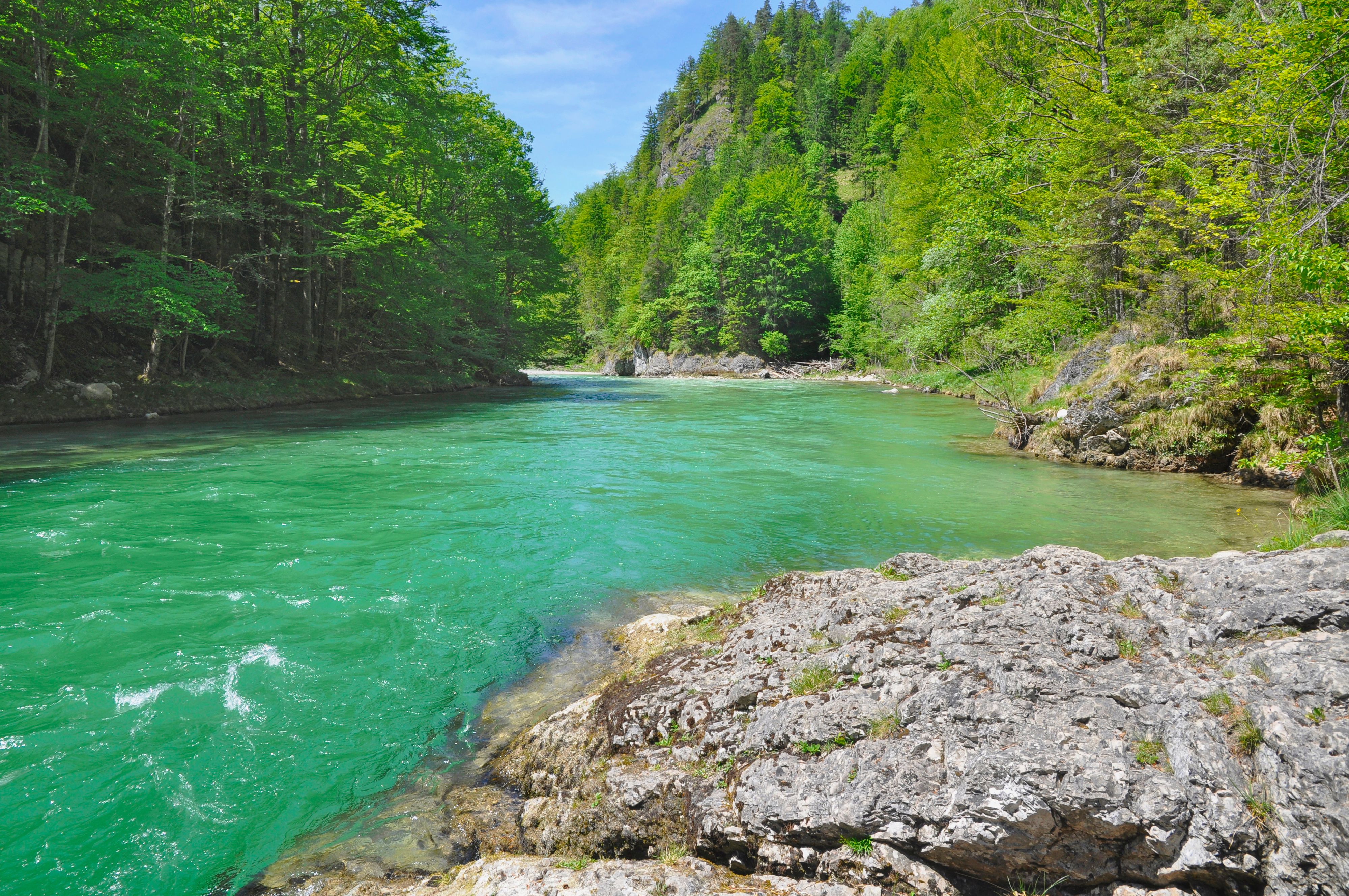 Am Samstag kam es in der Salza beinahe zur Katastrophe. Symbolbild. 