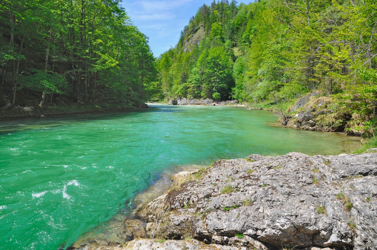 Heute.at - Rettung in letzter Sekunde – Wienerin fast ertrunken