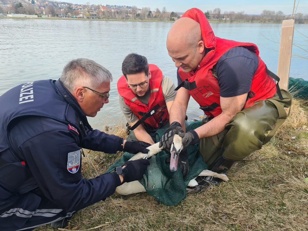 Die beiden Angelhaken konnten entfernt werden.