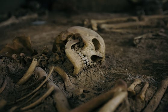20 bis 30 Skelettteile wurden in Kärnten entdeckt (Symbolfoto)