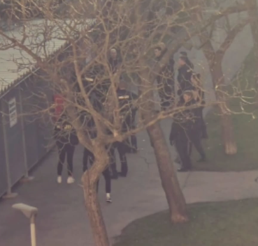 Verdächtiger wurde in Wr. Neustadt geteasert.