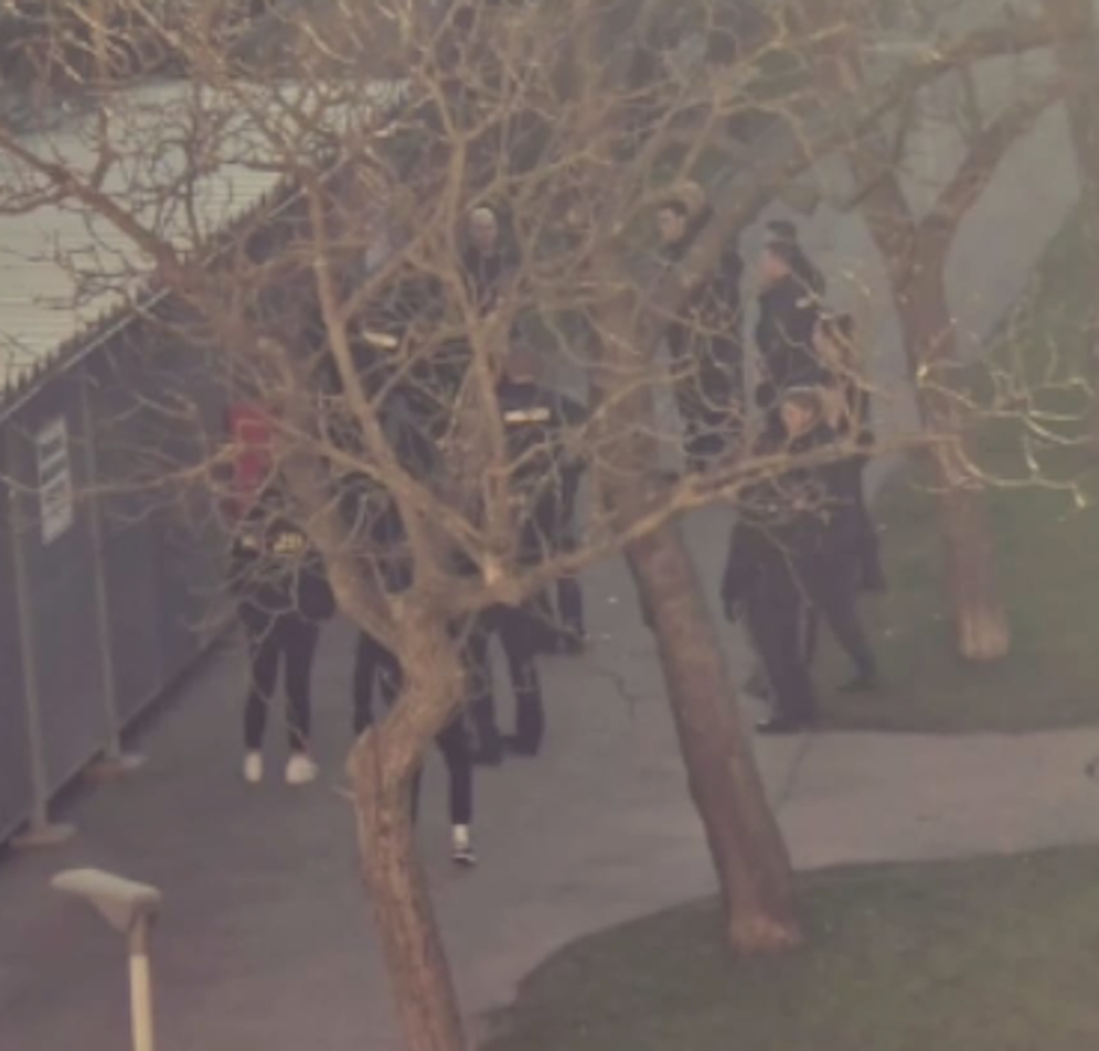 Ein Verdächtiger wurde in Wr. Neustadt geteasert.