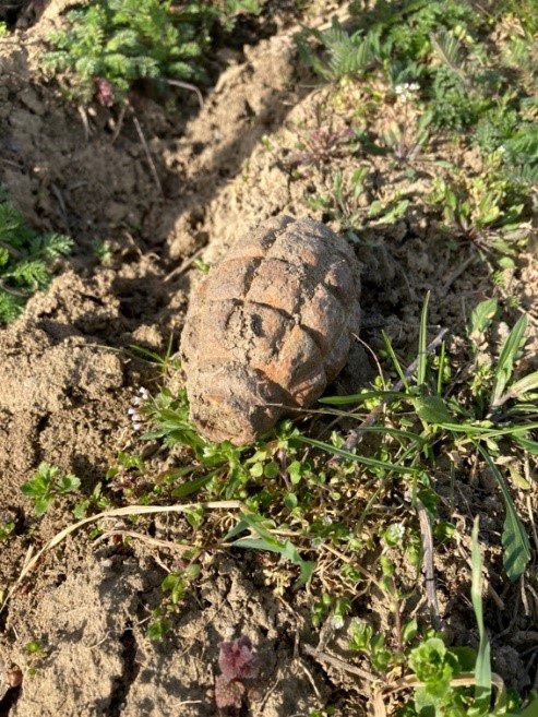 Die Handgranate wurde sichergestellt.