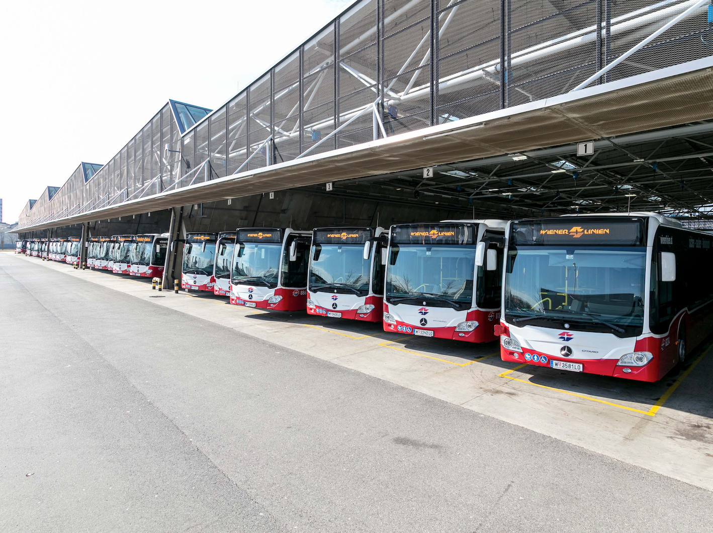 Ready to rumble: Diese Busse sehnen sich nach Lenkern. Wer sich bewirbt, bekommt 1.000 Euro Belohnung.
